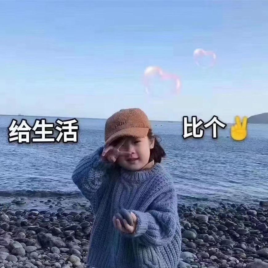 茶茶狸
