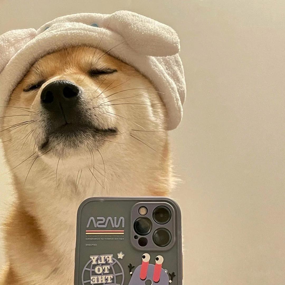 王大头