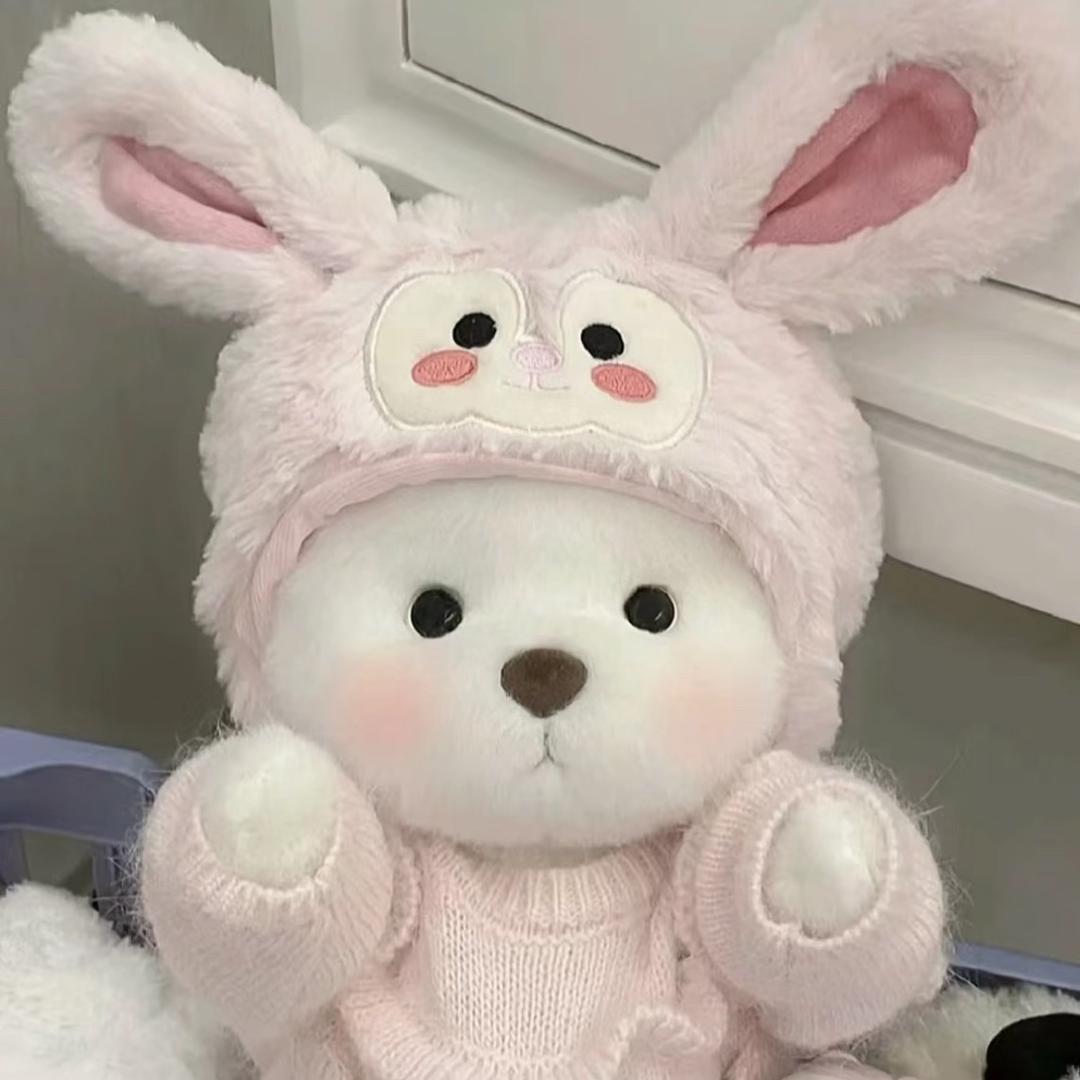 🐻