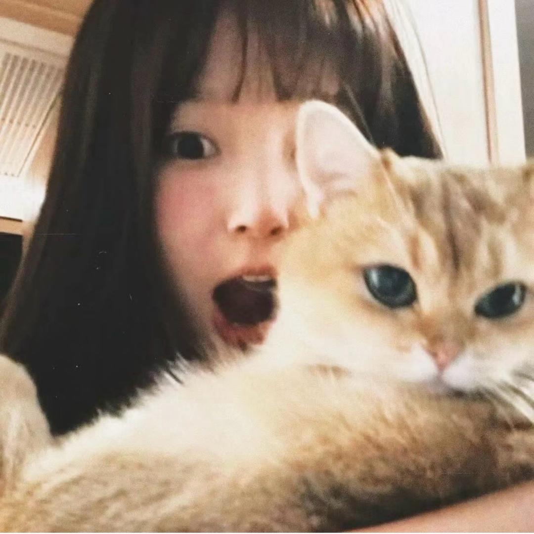 糕冷小猫