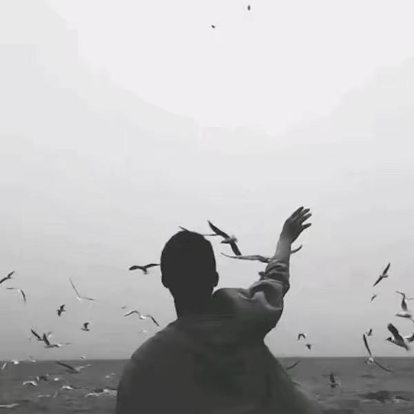 皮卡丘🌛