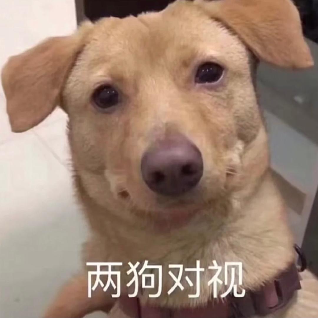 普信狗