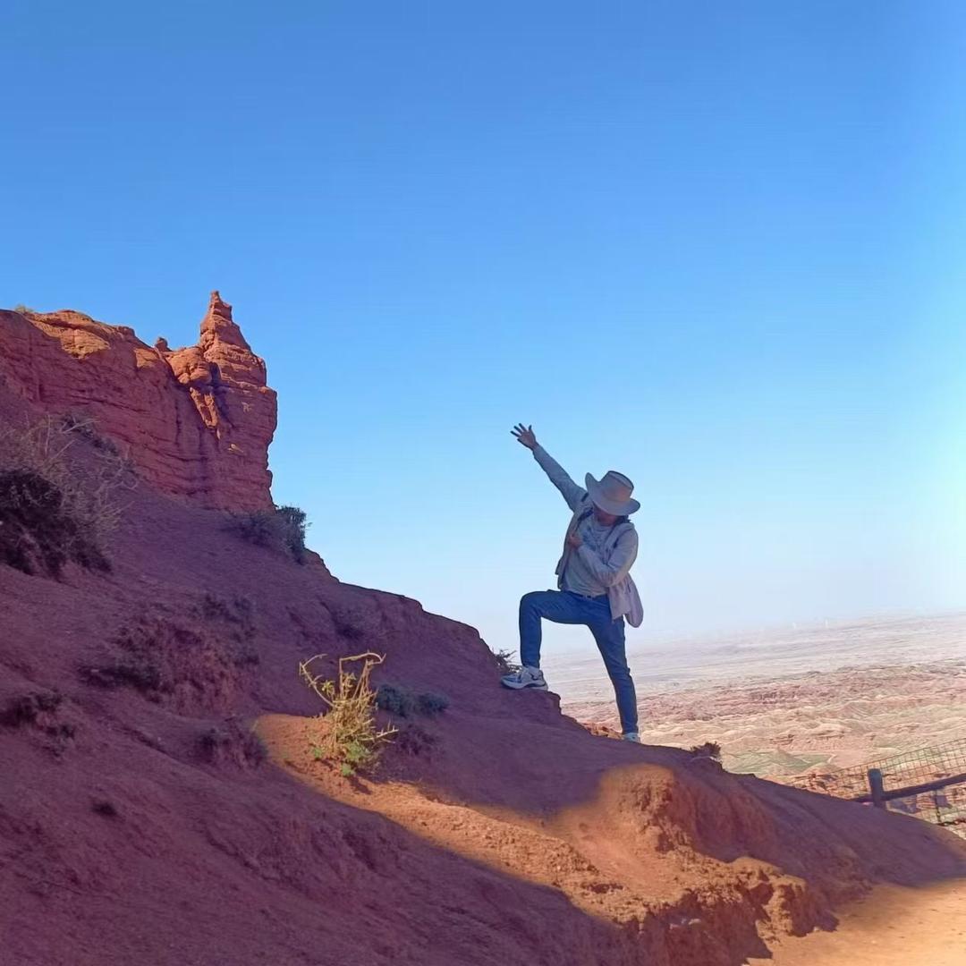 躺平青年猪鼓励