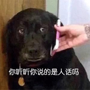 骑羊肉串的炉子！