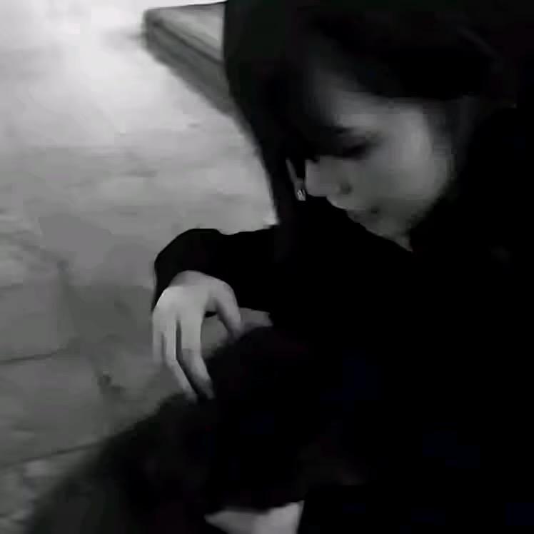少爷不姓少