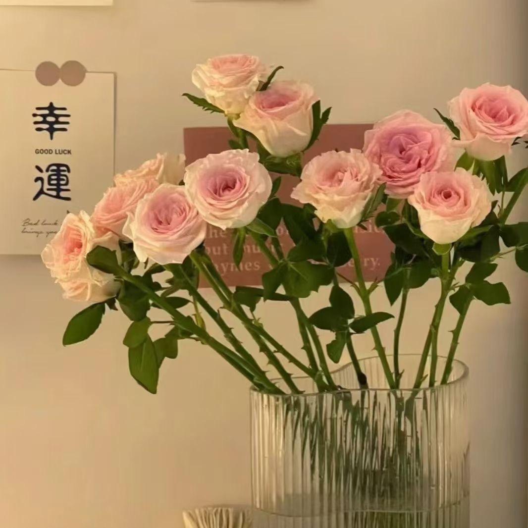 钰鸿护肤