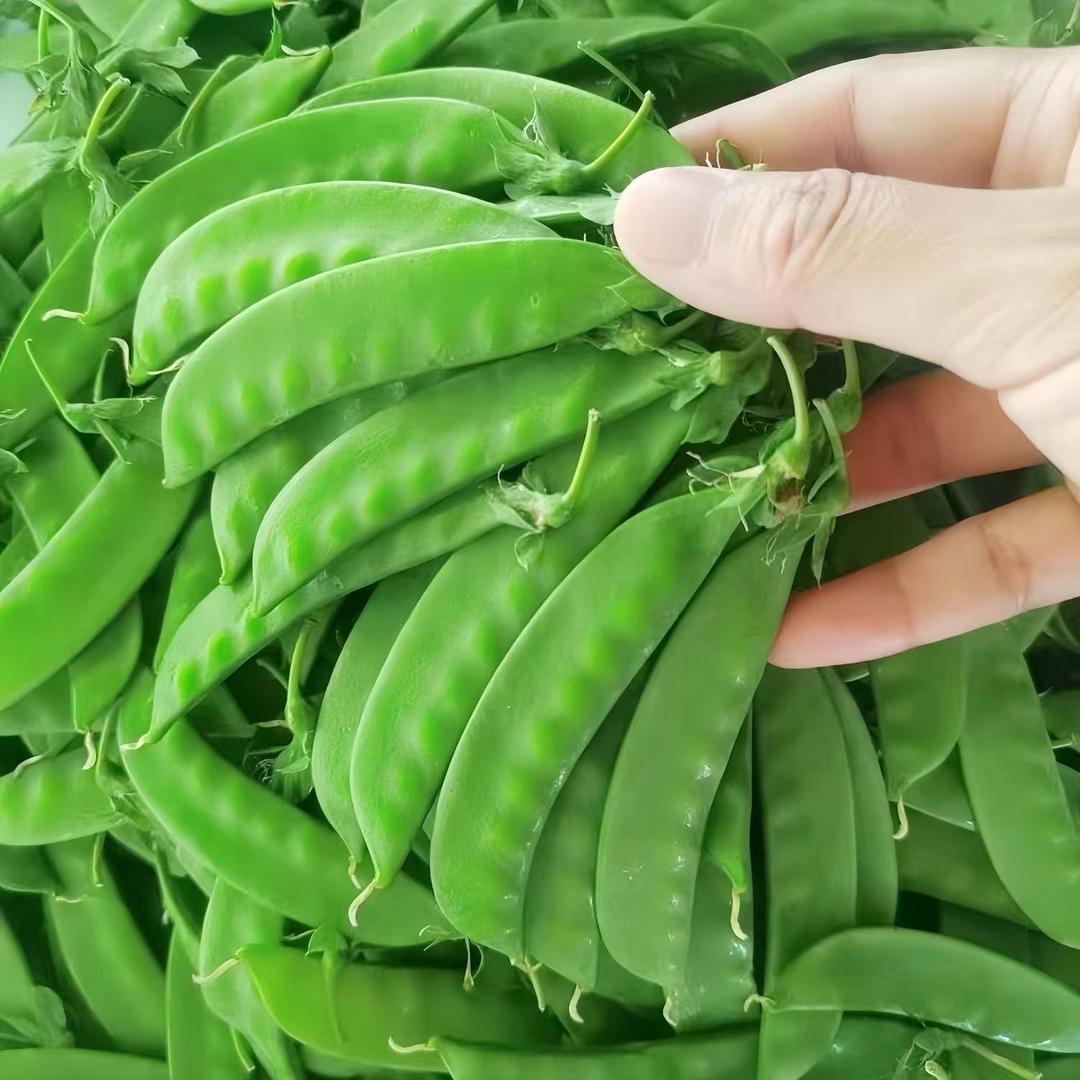 绿色果蔬