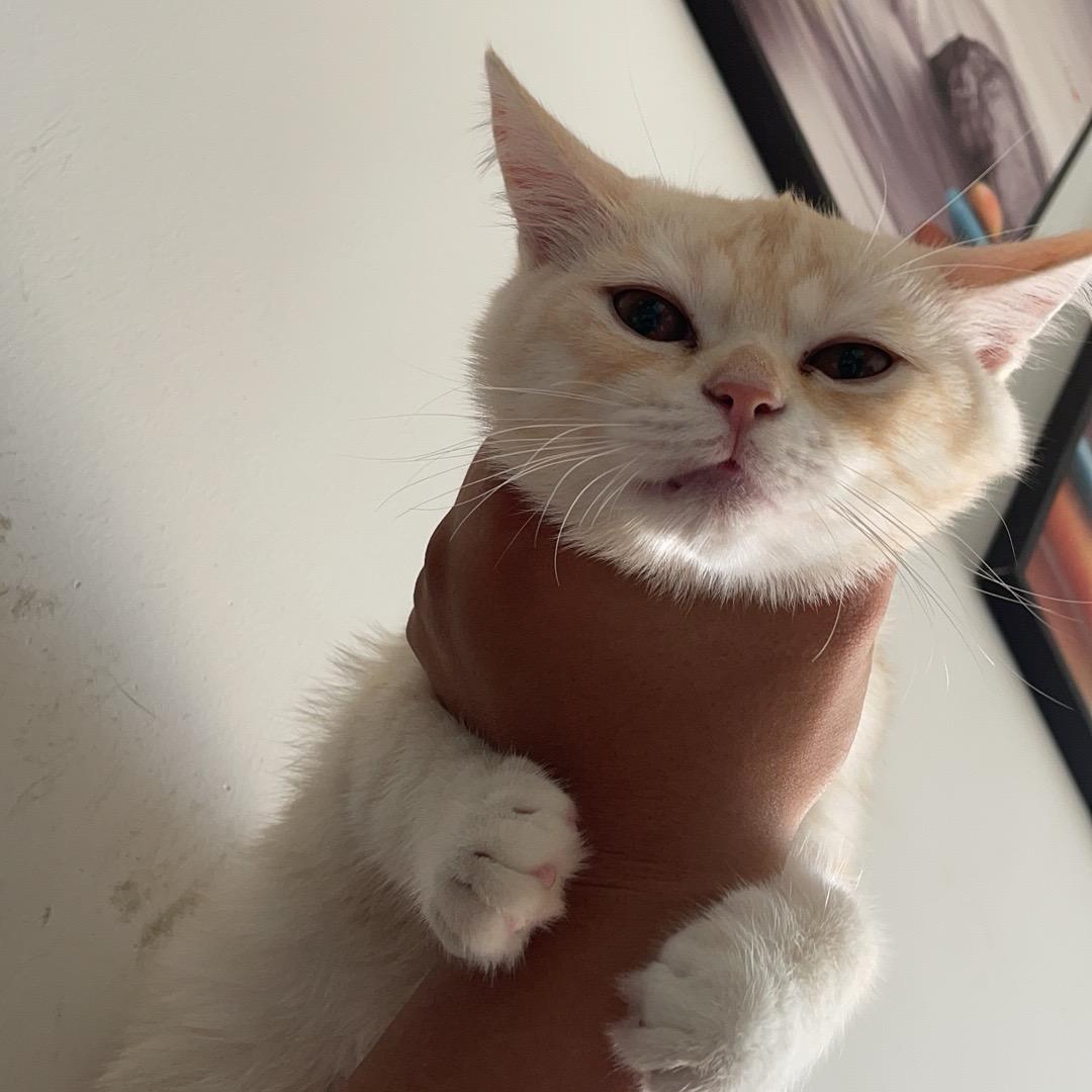 Lhx。（三角洲行动）