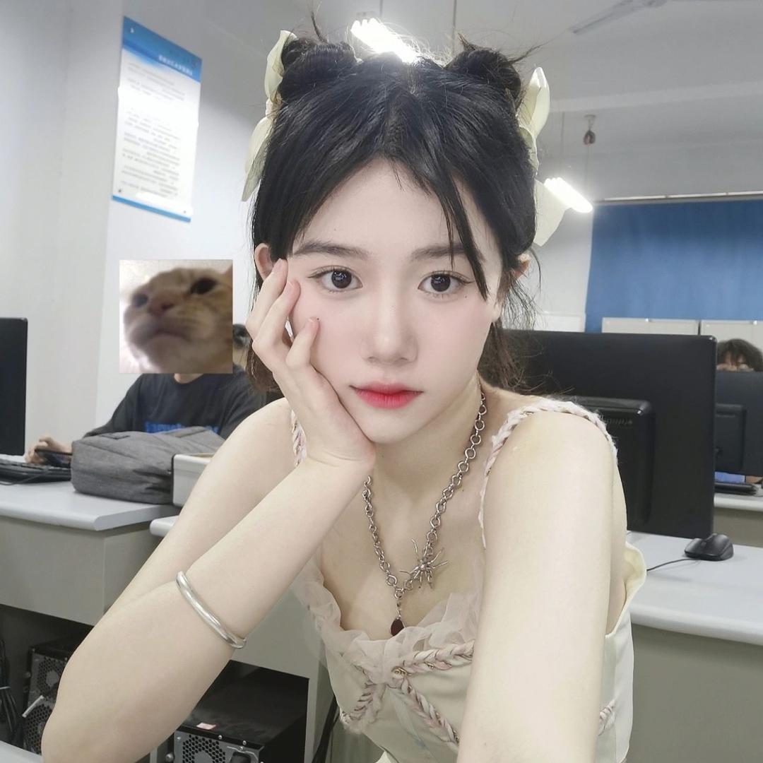 加菲猫🐱