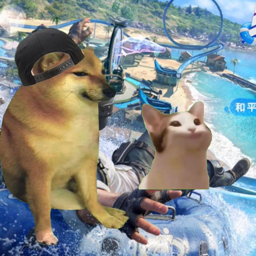 cheems（零氪🎶领航）