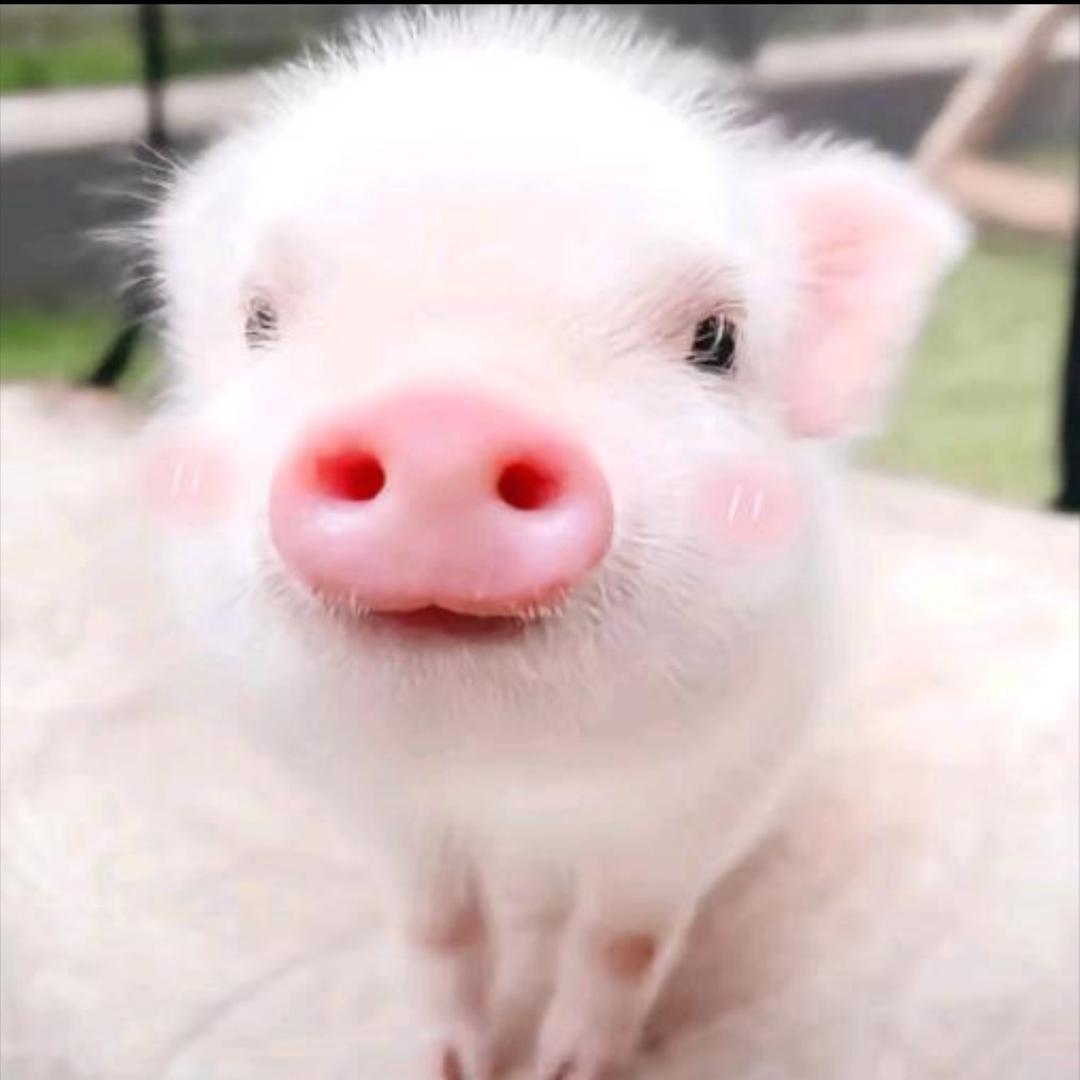 小宇一人