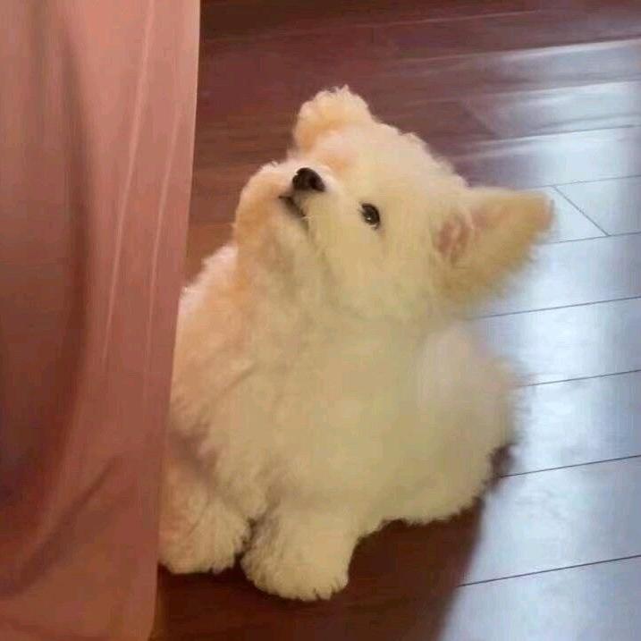 唯.