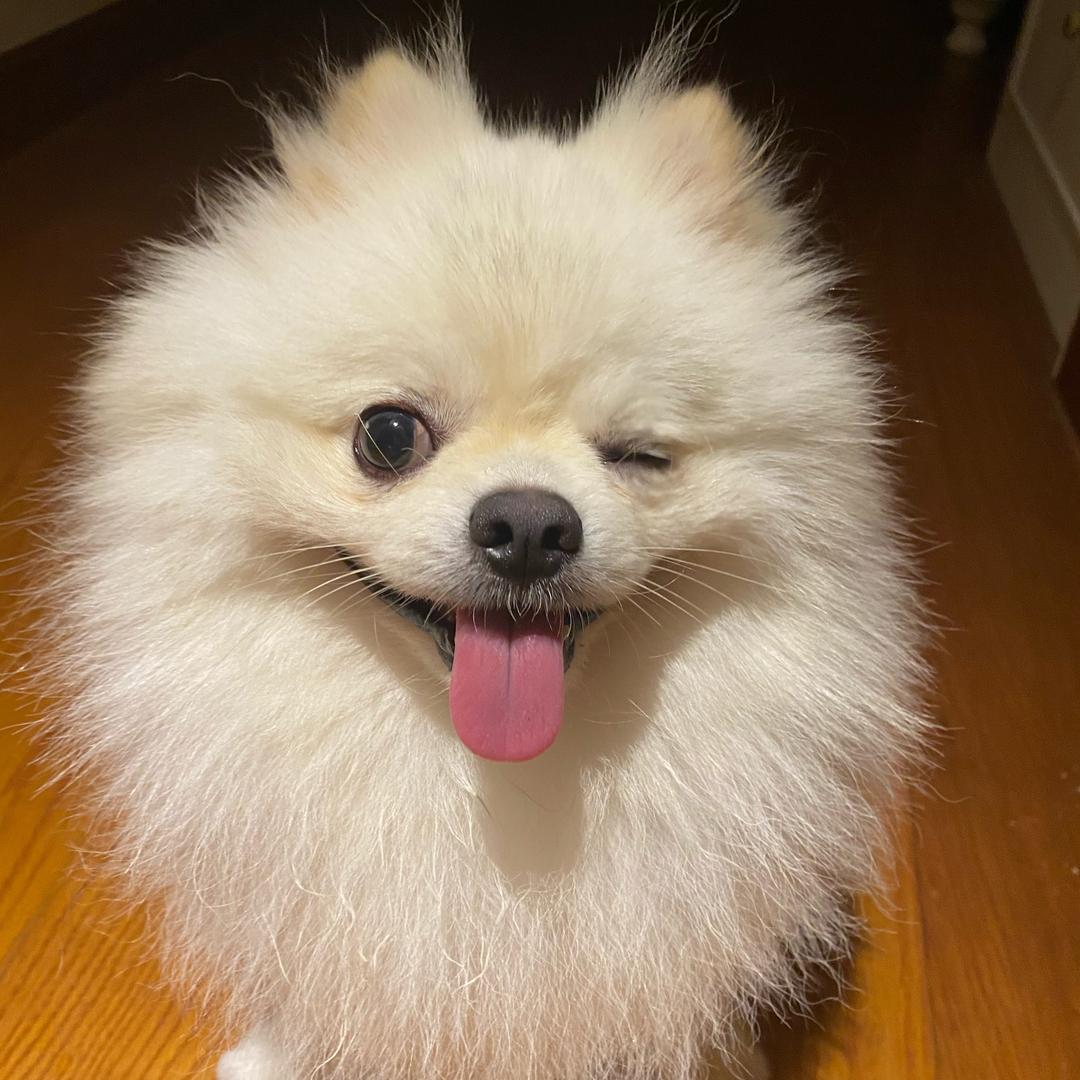 倩兒小铺