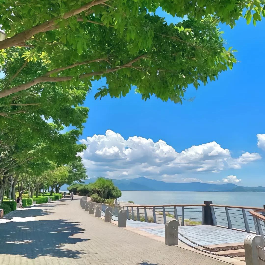 不吃香菜の猫。🐱