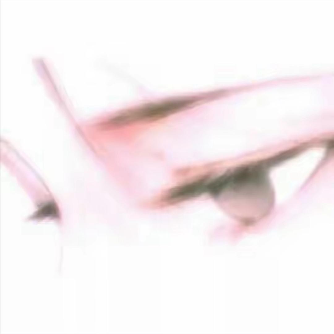 有wow（pro版