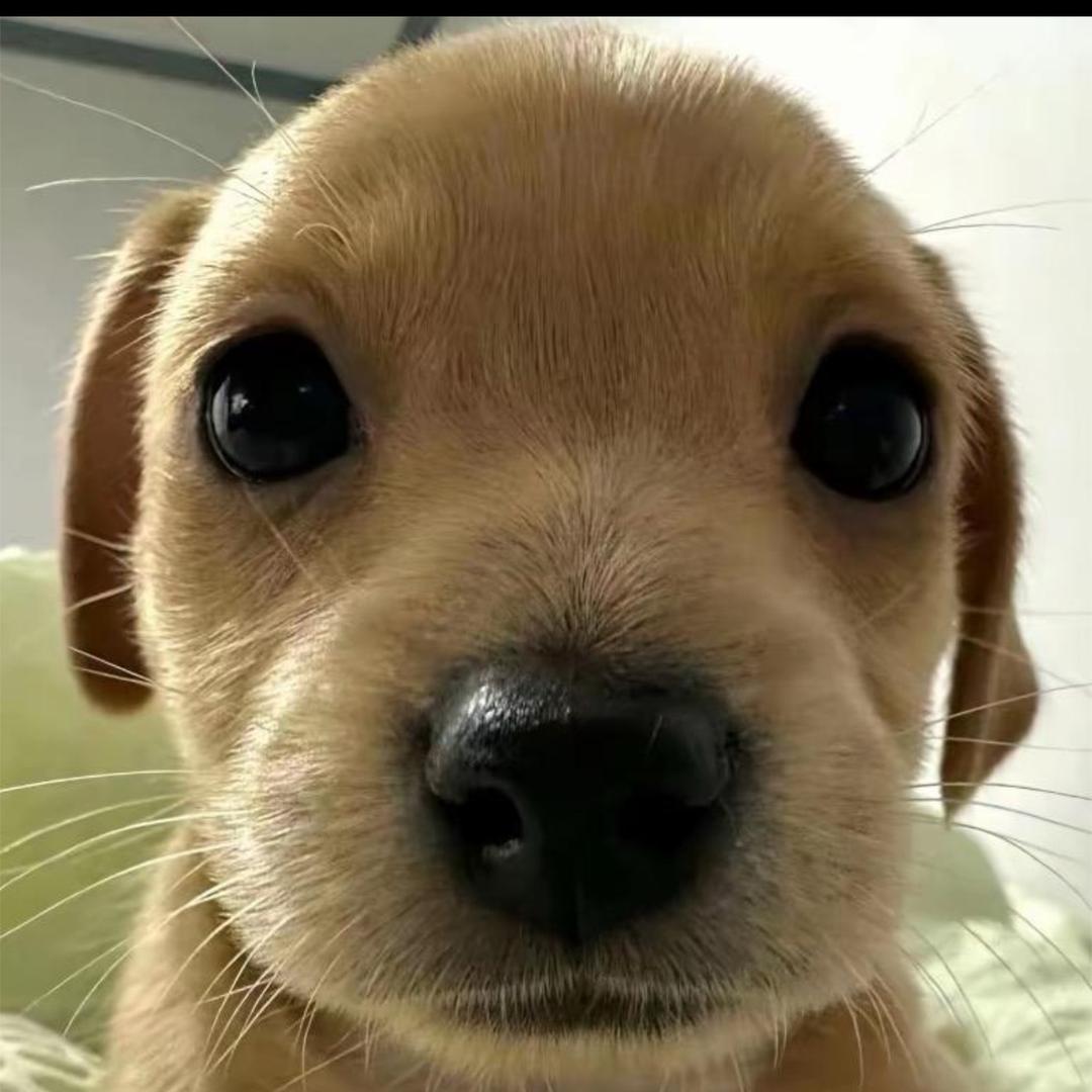 ，