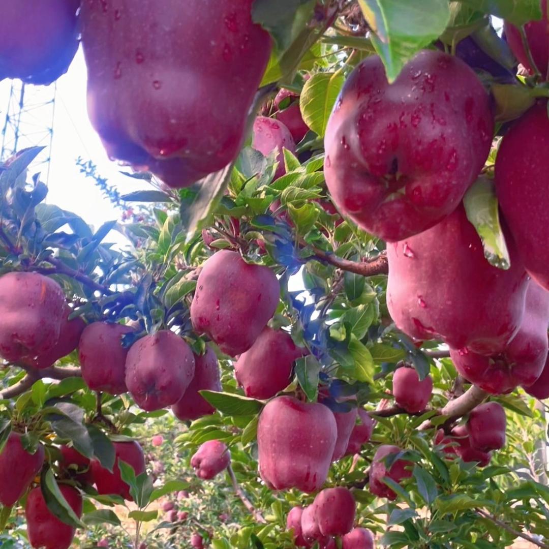 @吴文斌（从头再来）