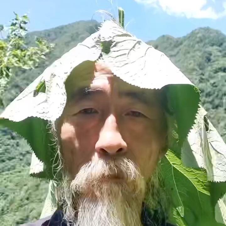 低调少年