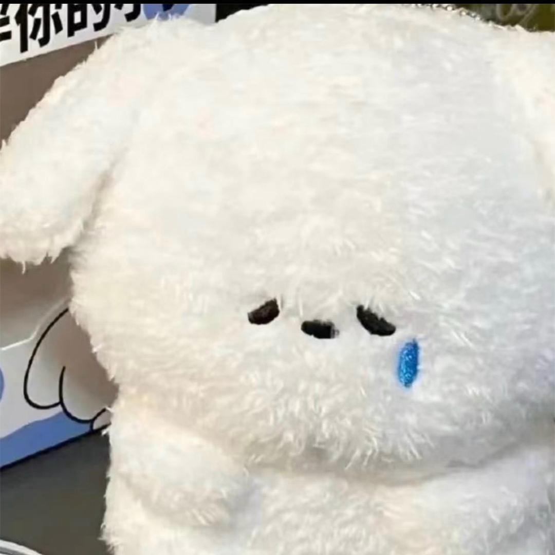 果然🐾