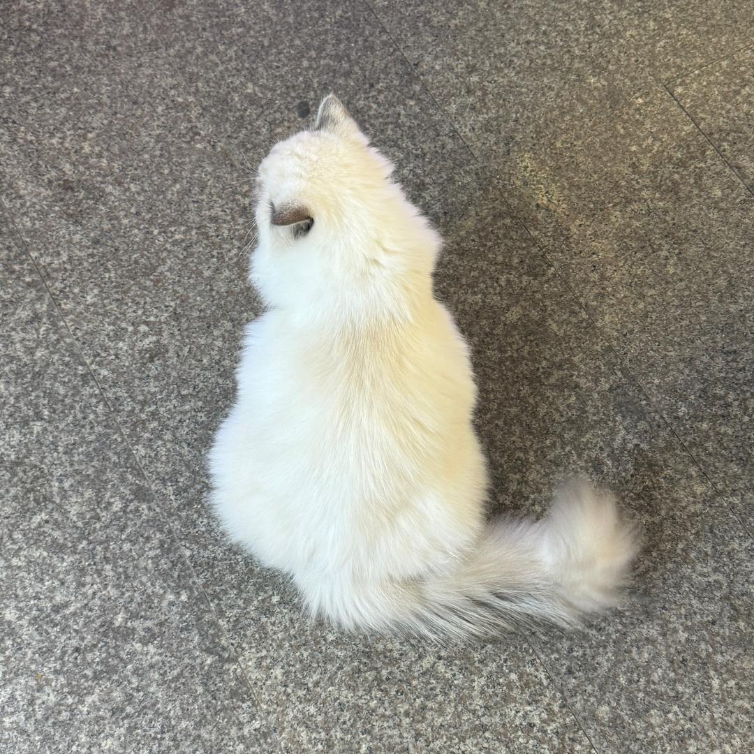 Nomb