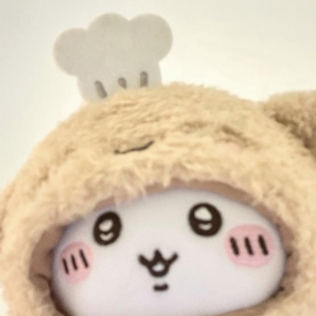 博博