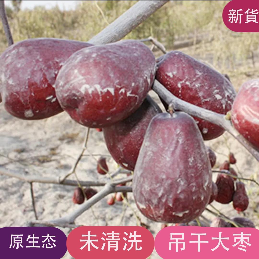 沙漠枣大姐