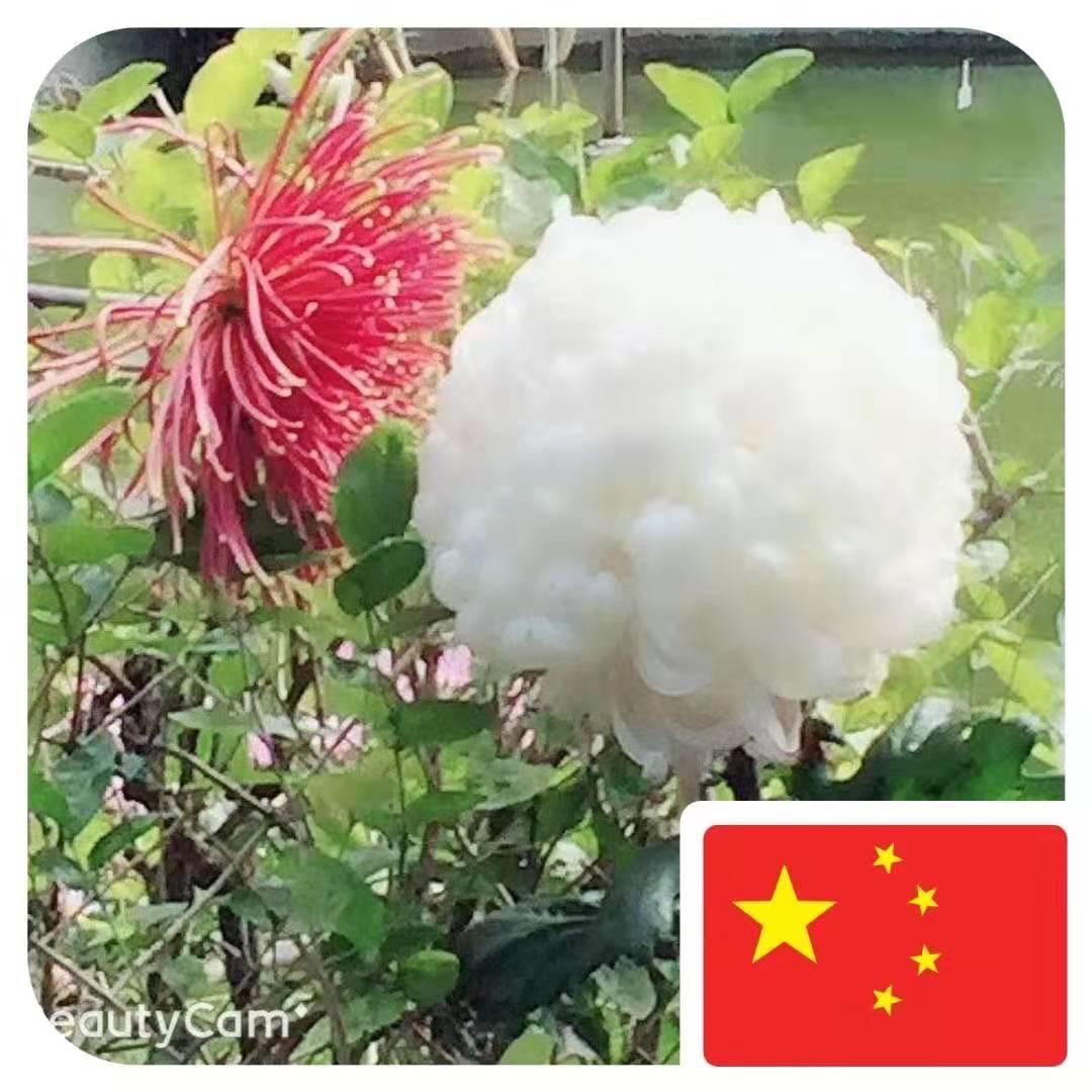 平淡的幸福
