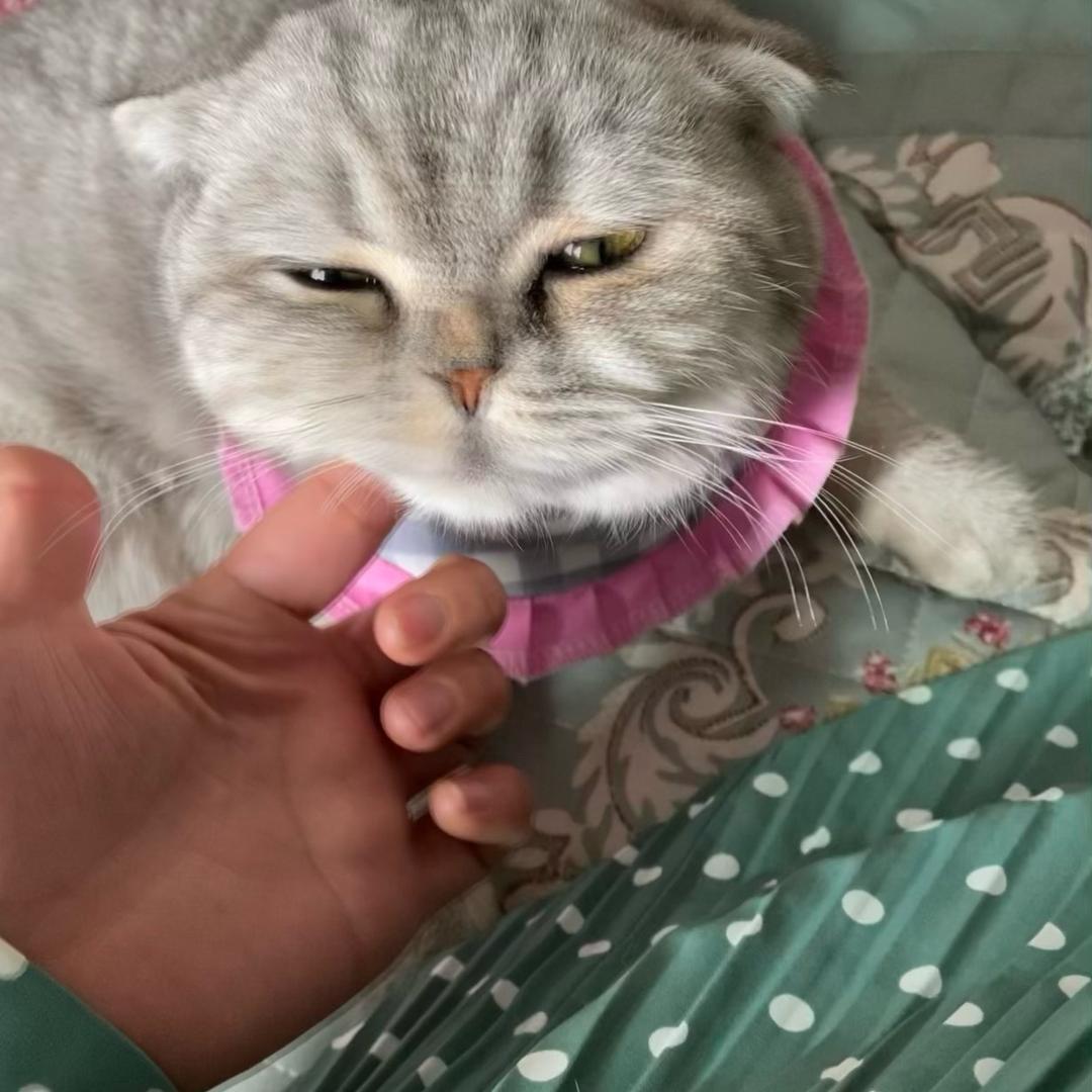 🌺幺妹🌺