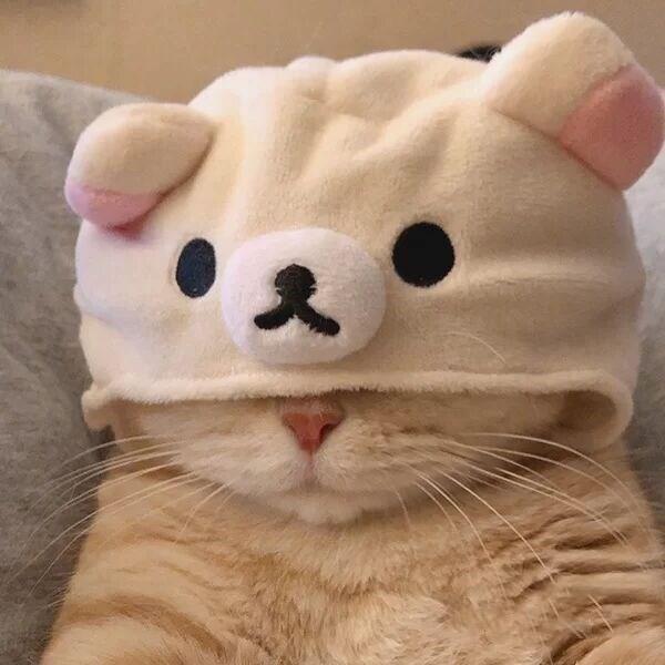 不悔