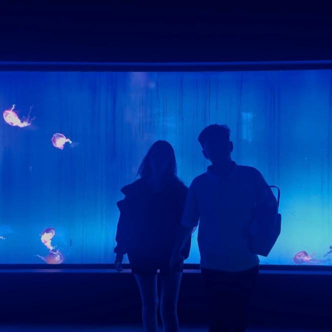 李钰钏的小跟班