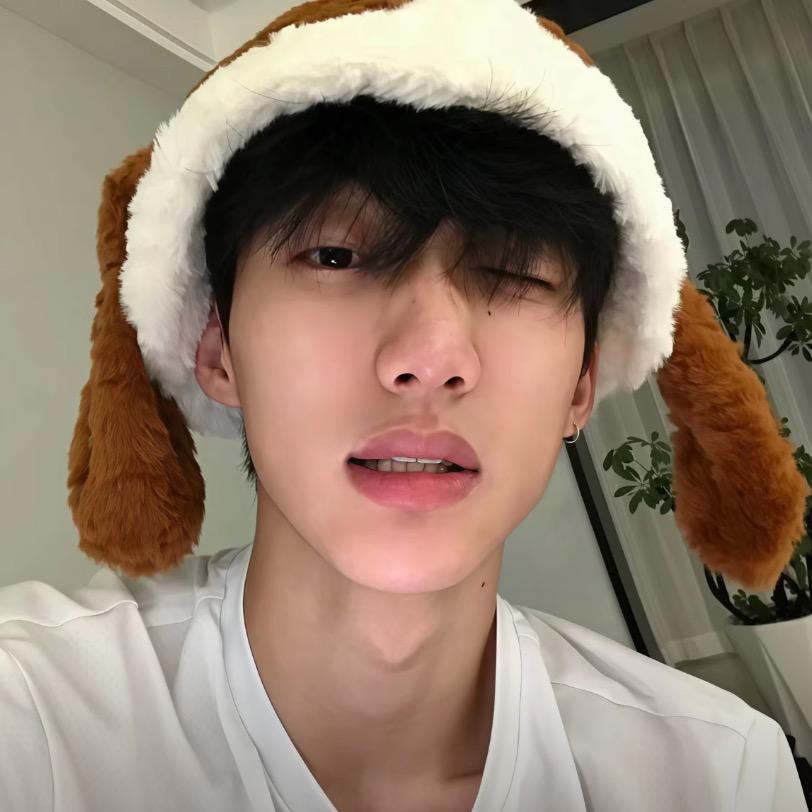 好名都样狗起了