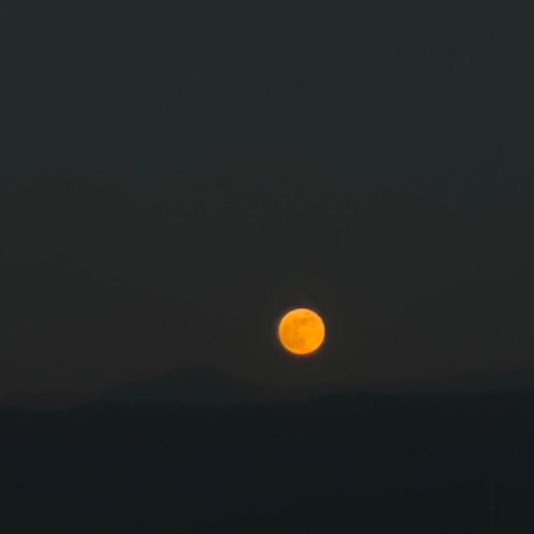 sun。
