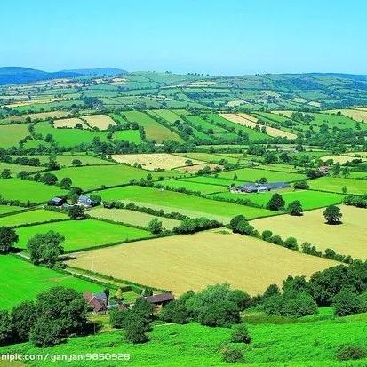 红村香田农业发展（嵊州）有限公司