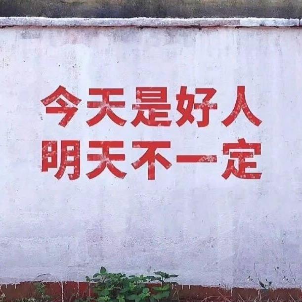 满山猴子我腚最红