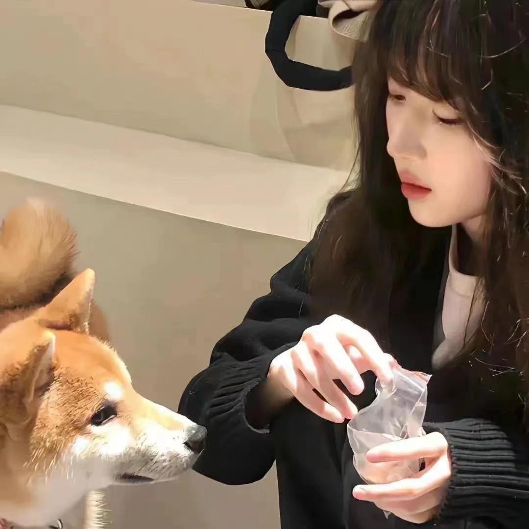 惜音🌟
