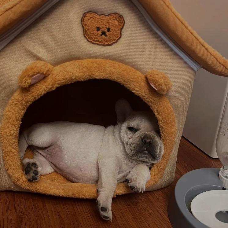 江小姐今天也很饿