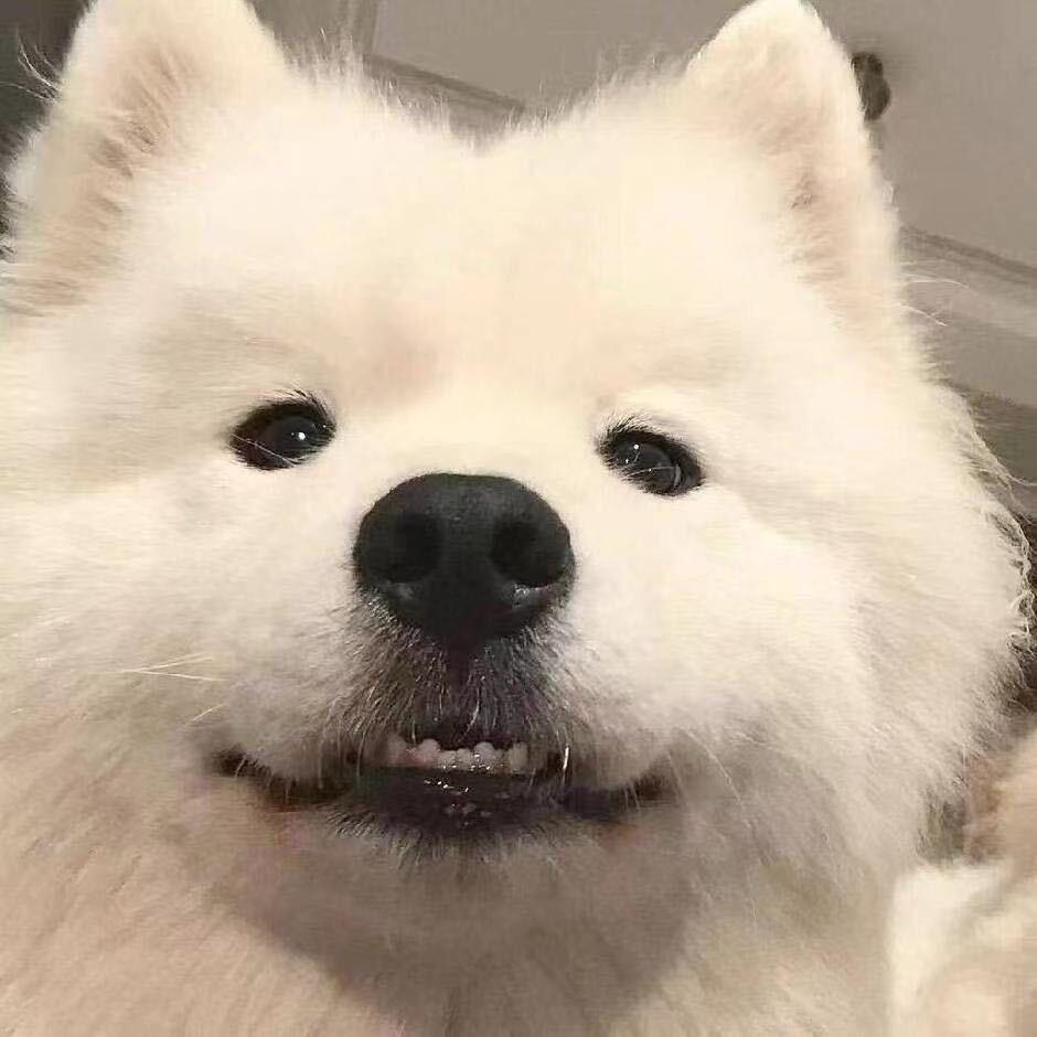 小成