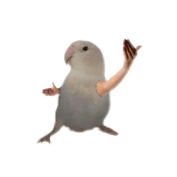 也不知道干什么