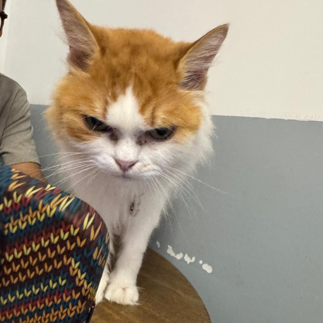 多次骚扰我的女同试图抢走我的男crush