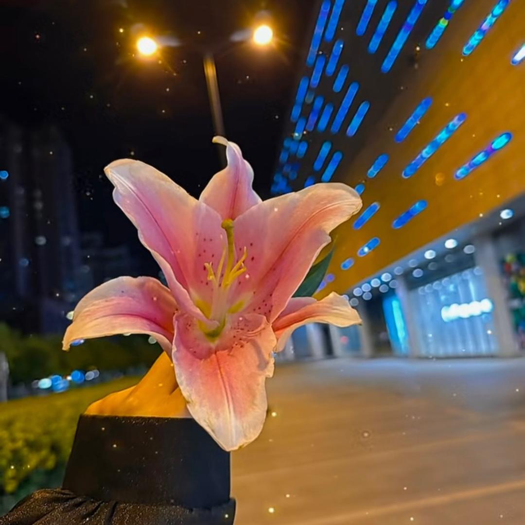 ღ᭄💞相遇的意义໑ຼ₀₂₄💕