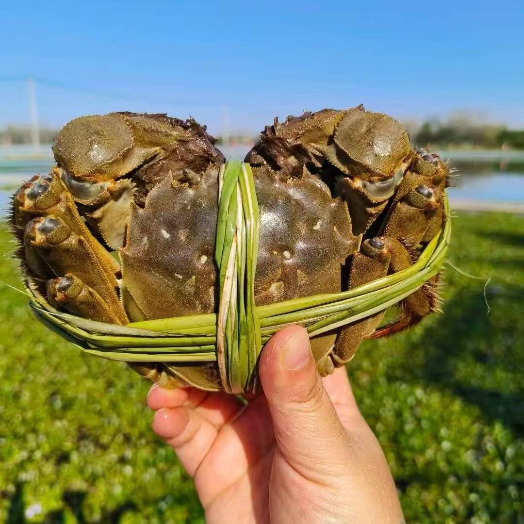 卖大闸蟹的王姐