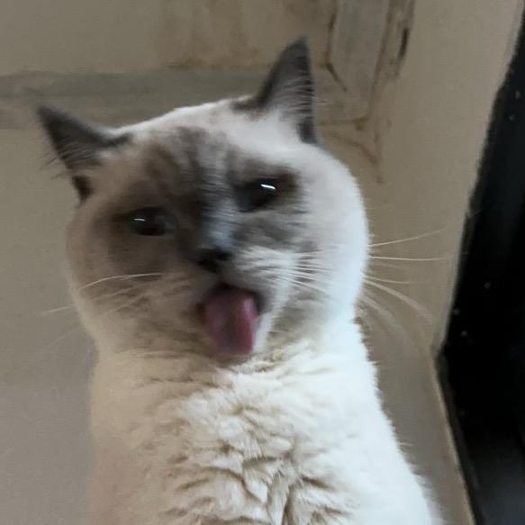 小吴呼啦啦