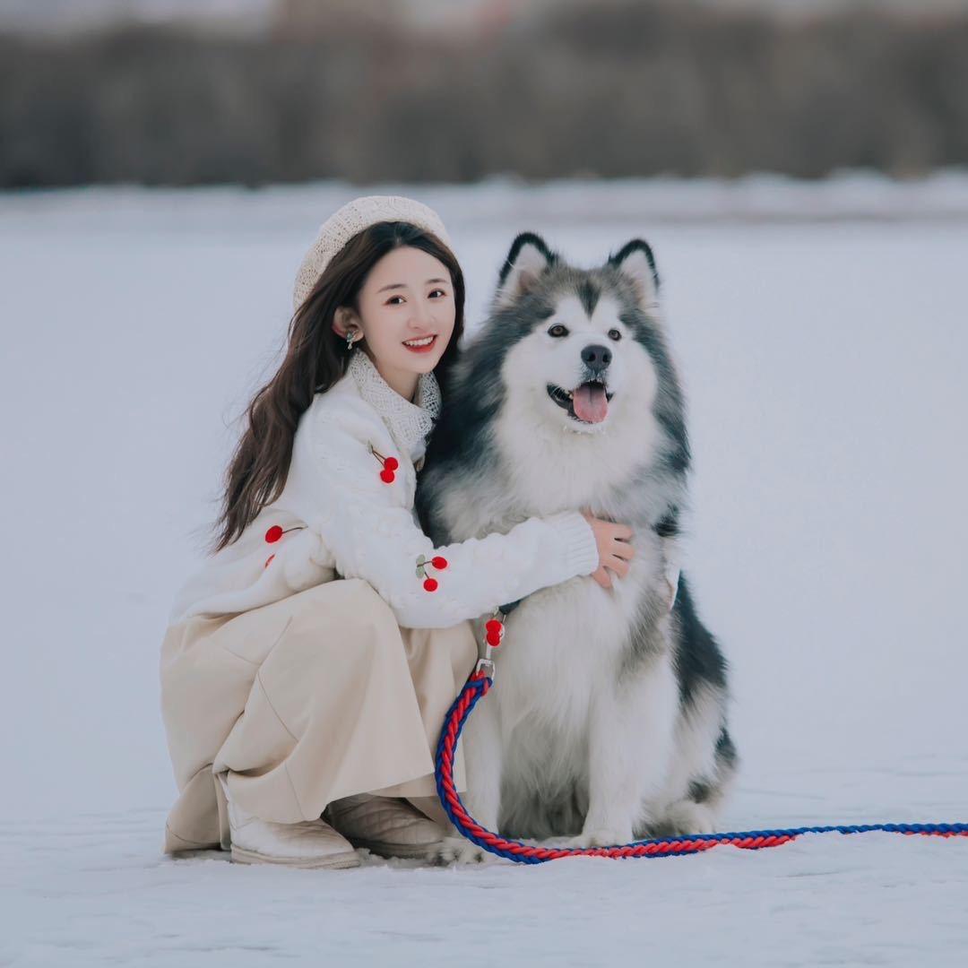 十一妹妹
