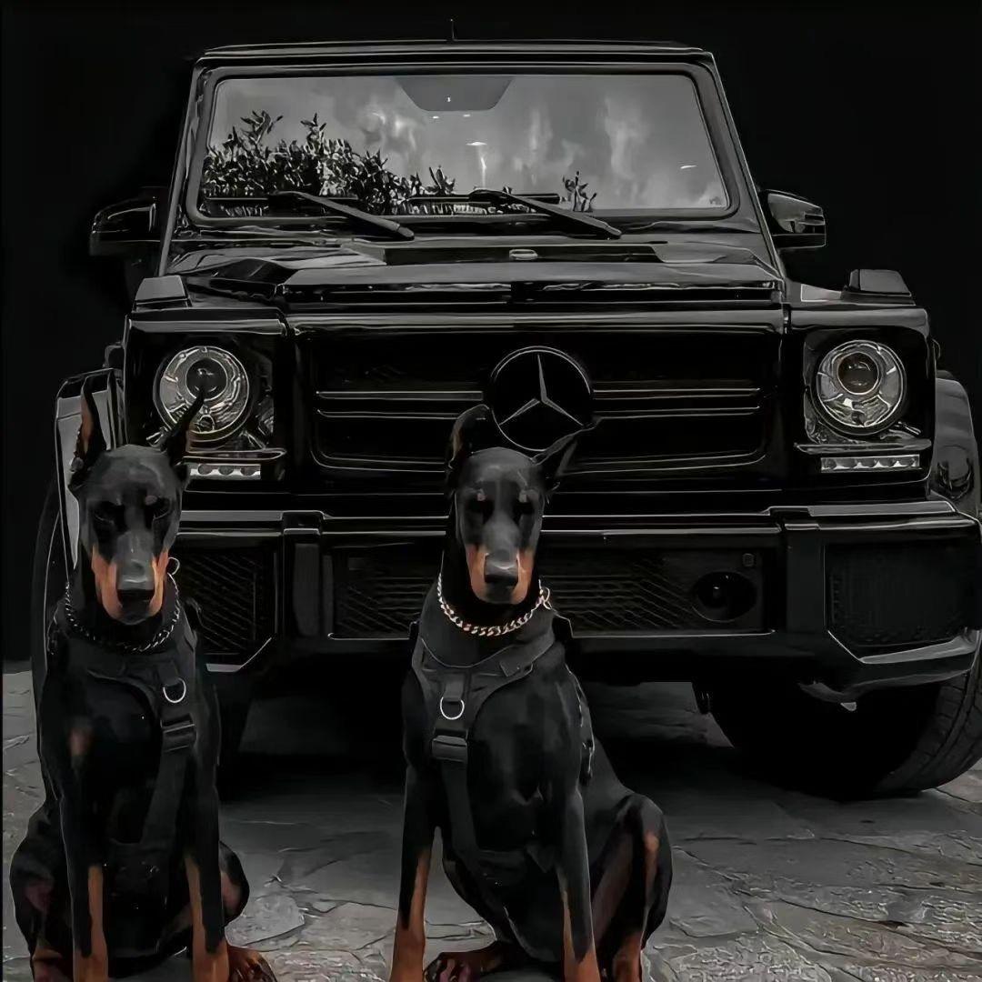 东莞市麒临名车-阿乐解说