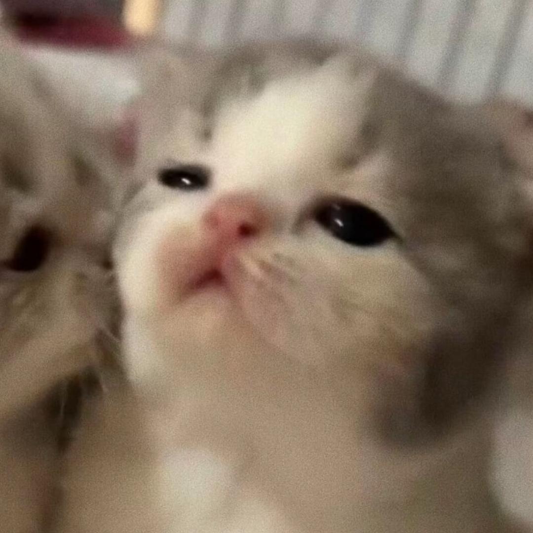 猫腻