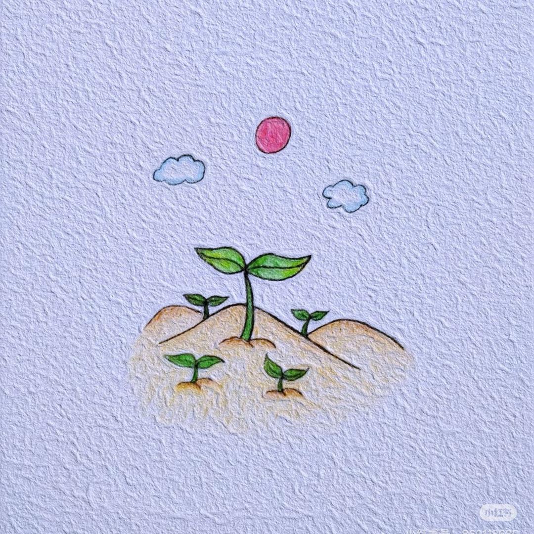 小花💐