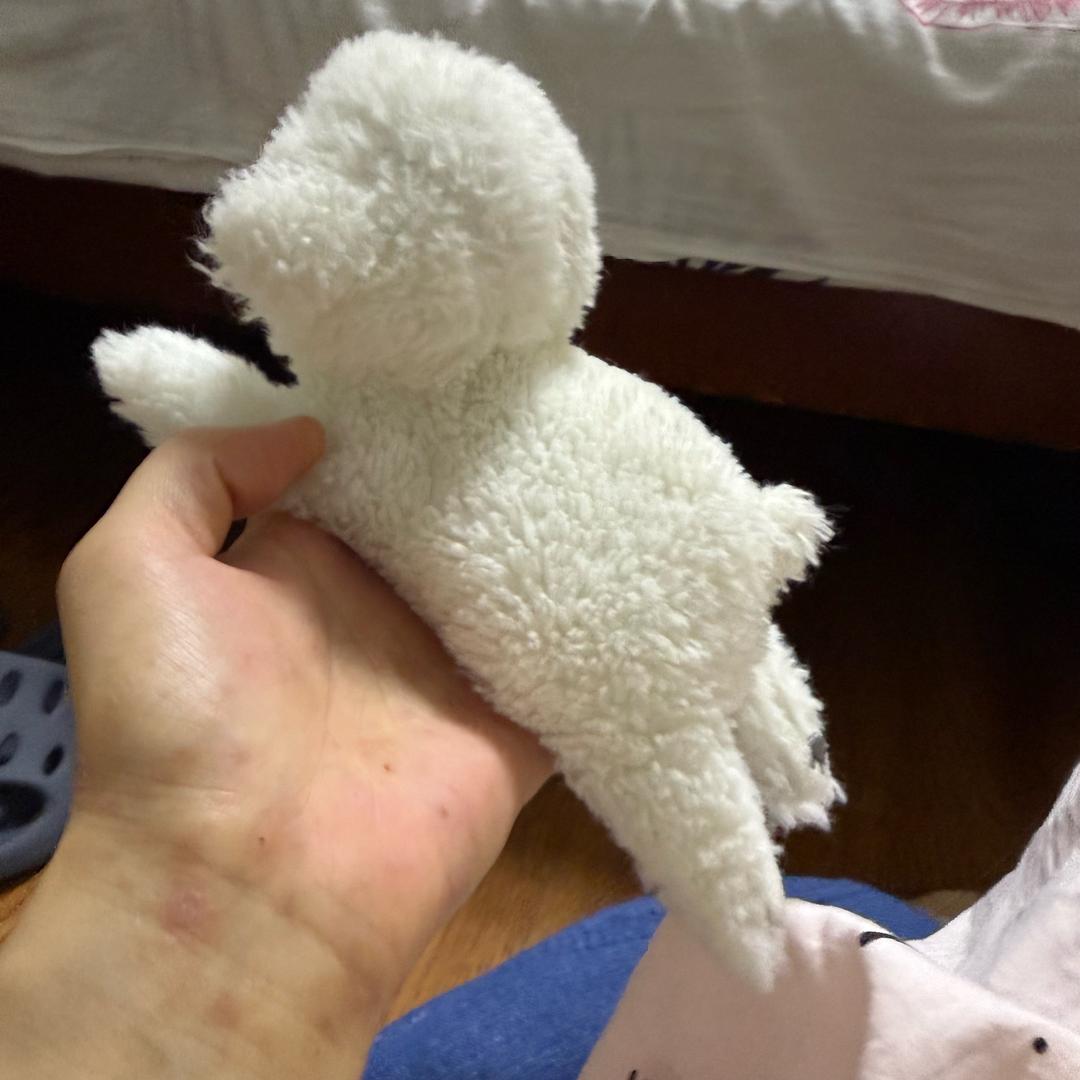 杨小妞