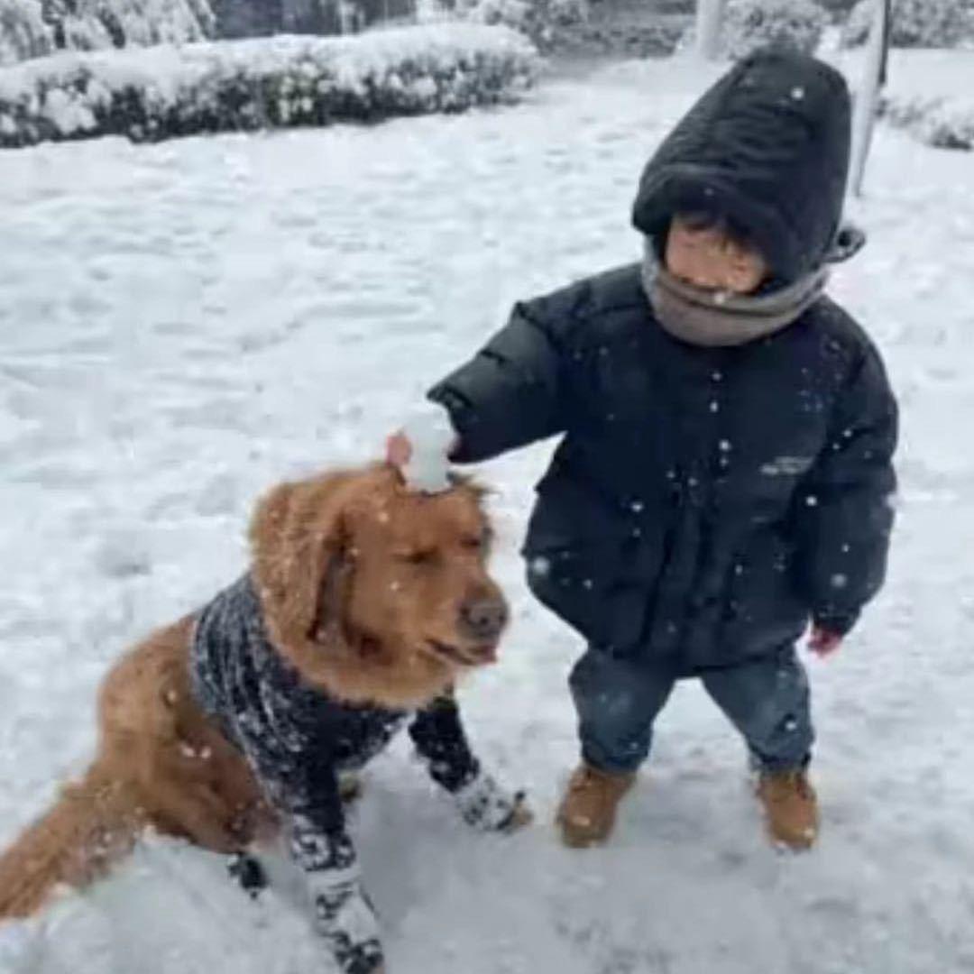 不过是些许风霜