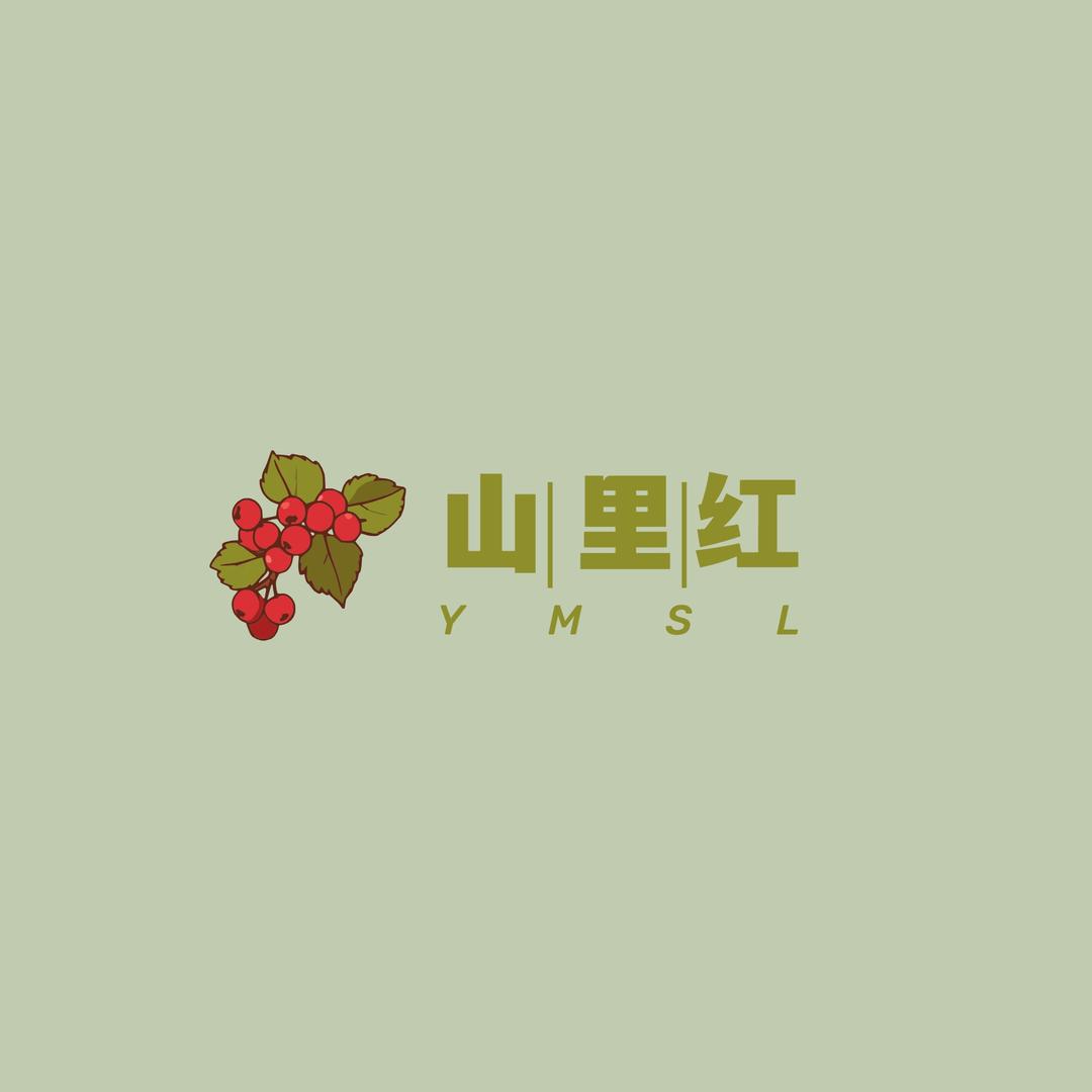 贵州山里红特产店