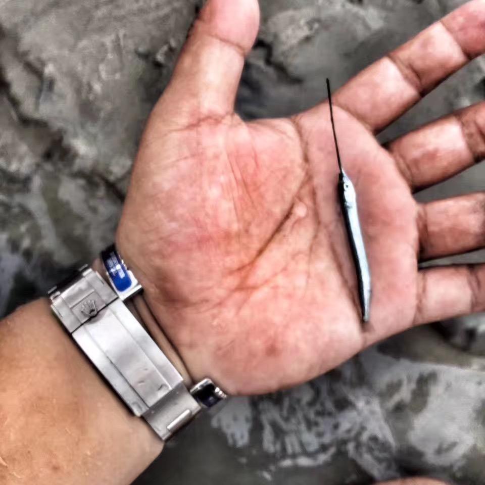自贡溪樾𝑳𝒖𝒓𝒆 🎣